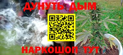дмт Новокубанск
