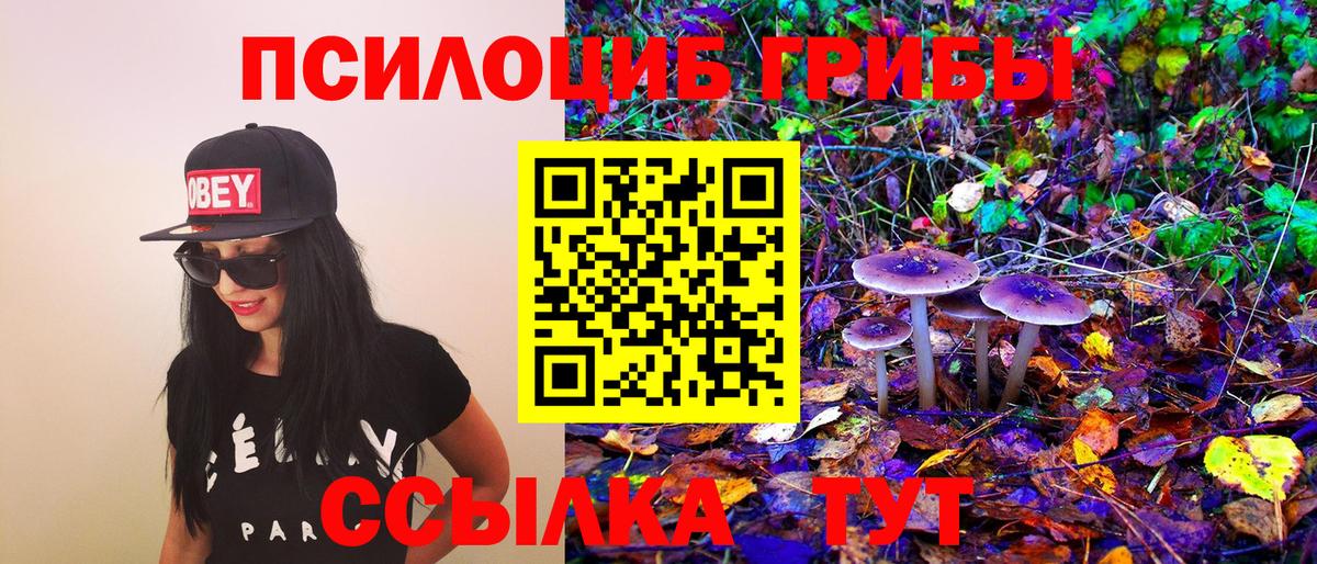 Сухой Лог  Галлюциногенные грибы Psilocybine cubensis  Вход с VPN 
